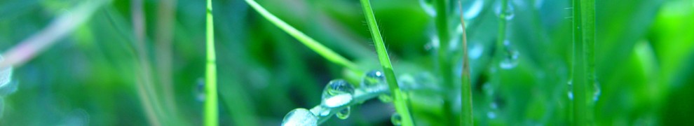 Norsk nettverk for universitets- og høgskolepedagogikk